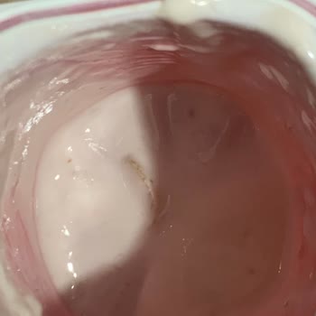 Eker Probiyotik Yoğurttan Kurt Çıktı!