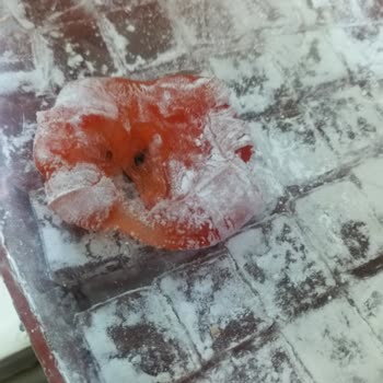 Lokumda Yabancı Madde Bulunması Hijyen Ve Güvenlik Endişesi