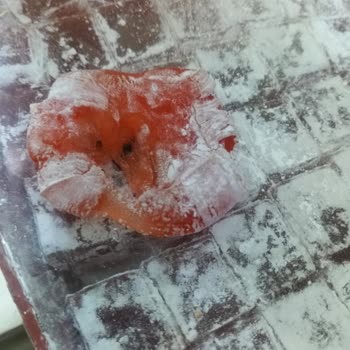 Lokumda Yabancı Madde Bulunması Hijyen Ve Güvenlik Endişesi