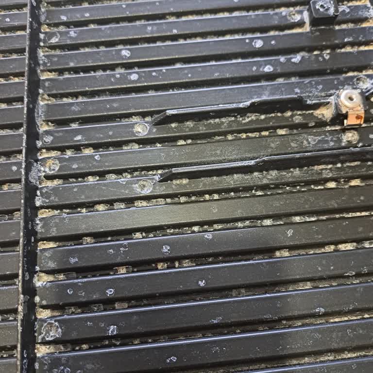 Korkmaz Tostkolik Tost Makinesinde İç Plakaların Paslanması Ve Çözüm Sunulmaması