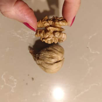 Jumbo Boy İncir Söz Edildiği Gibi Değil, Küflü Ve Küçük Ürün Gönderildi