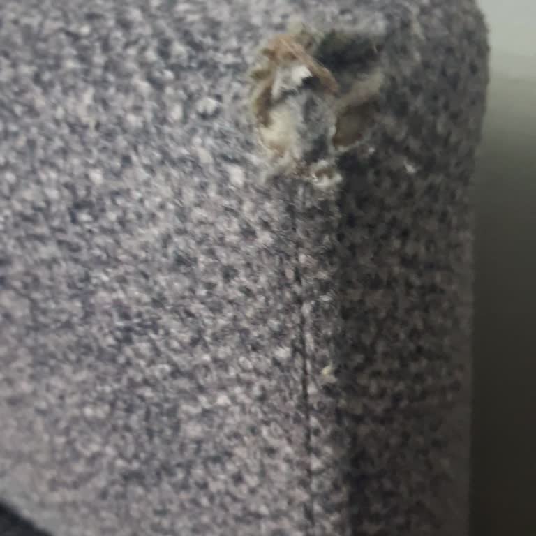 Kelebek Bayisi’nden Yırtık Koltuk Takımı Teslimatı: Hemen Değişim Talebi