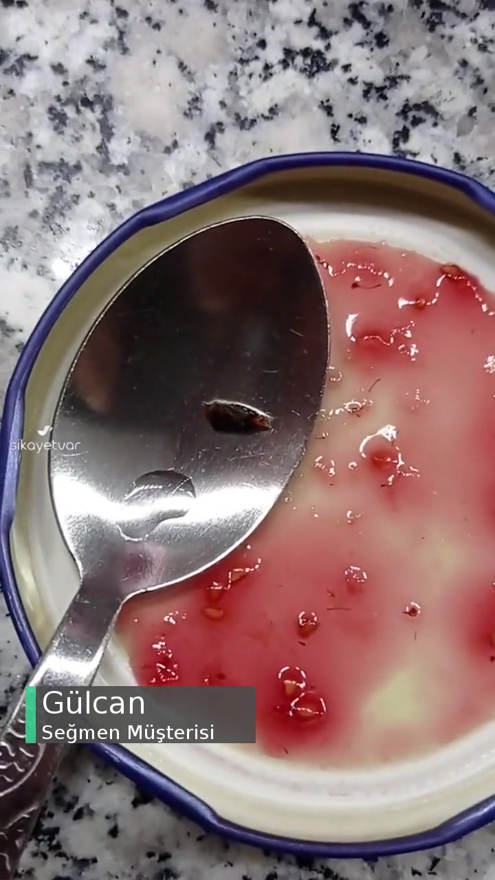 Seğmen Marka Reçelde Böcek videonun kapak resmi