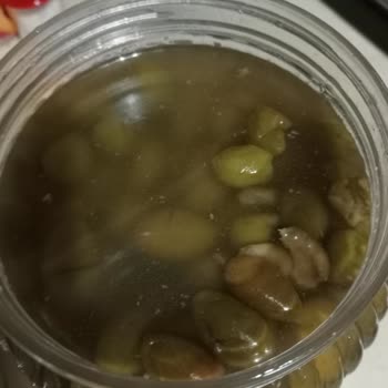 @dogalbahceurunleri_ Zeytin Acı, Suyu Kararmış Ve Tadı Yok, Köy Ekmeği İse Hiç Gönderilmedi