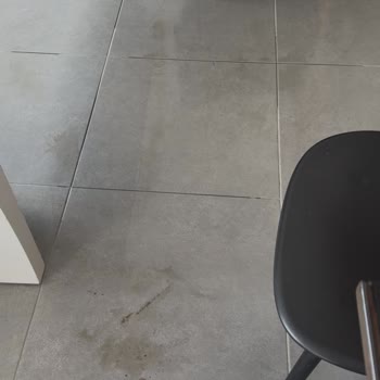 Roborock Dikey Sil Süpürge 3 Ay Sonra Kirli Su Bırakıyor, İade Talebi