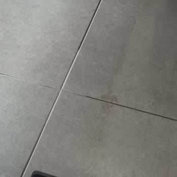 Roborock Dikey Sil Süpürge 3 Ay Sonra Kirli Su Bırakıyor, İade Talebi