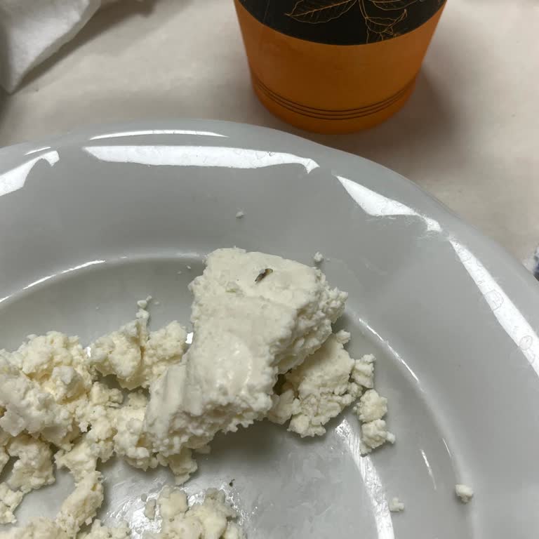 Burdur A101 Şubesinde Lor Peynirinde Yabancı Parazit Bulunması