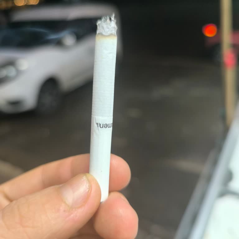 Parliament Midnight Blue Paketi Hatalı Baskı Güvenimi Sarsıyor Ve Sağlık Şüphesi Oluşturuyor