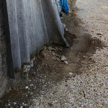 Daralan Yol Ve Çöp Birikimi Nedeniyle Kötü Koku Ve Haşere Sorunu