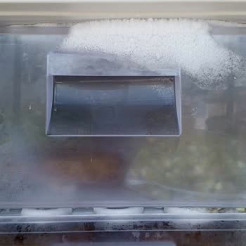 Şenocak Derin Dondurucu Değişimi Gecikiyor Ve Sorun Çözülmedi