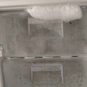 Şenocak Derin Dondurucu Değişimi Gecikiyor Ve Sorun Çözülmedi