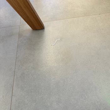 Dyson Scrub AI Robot Süpürgede Performans Sorunları Ve İade Talebi