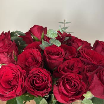 Kuru Güller Ve Özensiz Paketleme, Cevapsız Müşteri Hizmetleri