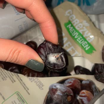 A101 Bağcılar Şubesinde Çerezya Hurmasında Küf Ve Böcek Tespiti