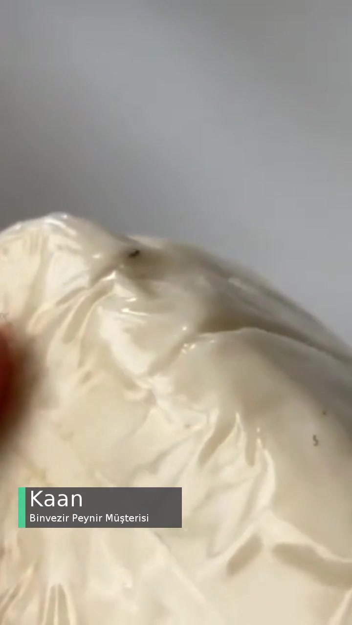 Binvezir Peynir 2 Sefer Böcekli Çıktı! videonun kapak resmi