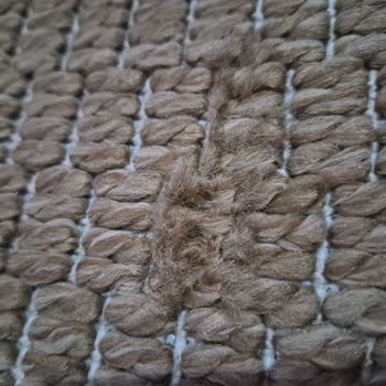 Deforme Halı Değişiminde Gecikme Ve Bilgi Eksikliği