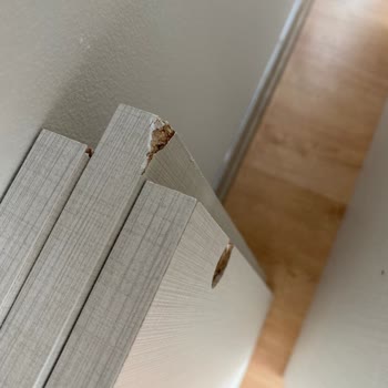 Koçtaş'tan Alınan Hasarlı Gardırop Ve İletişimsiz İade Süreci