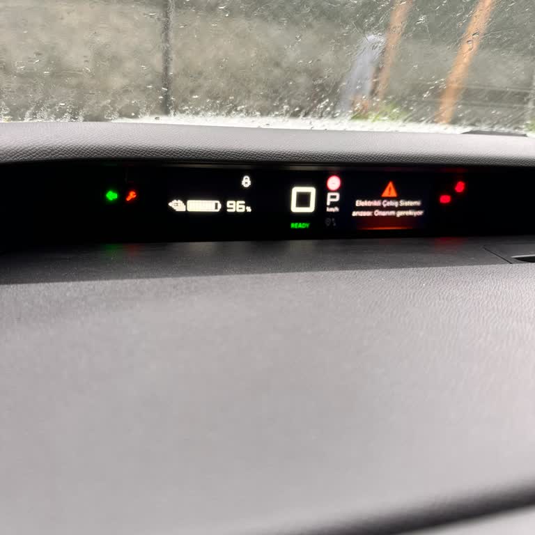 Elektrik Çekiş Sistemi Arızası, Uzun Süre Çözülmeyen Servis İletişimsizliği Ve İkame Araç Eksikliği