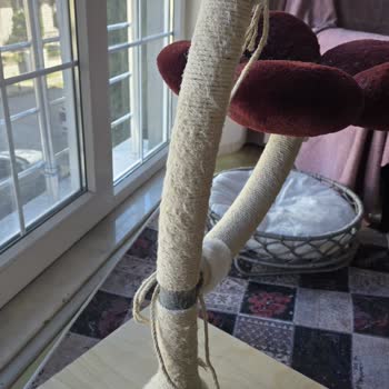 Maruvis Cat Talebimle İlgilenilmedi