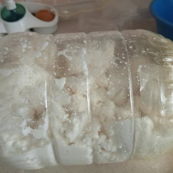 Eksik Ve Kalitesiz Keçi Peyniri Siparişi İçin Tam İade Talebi