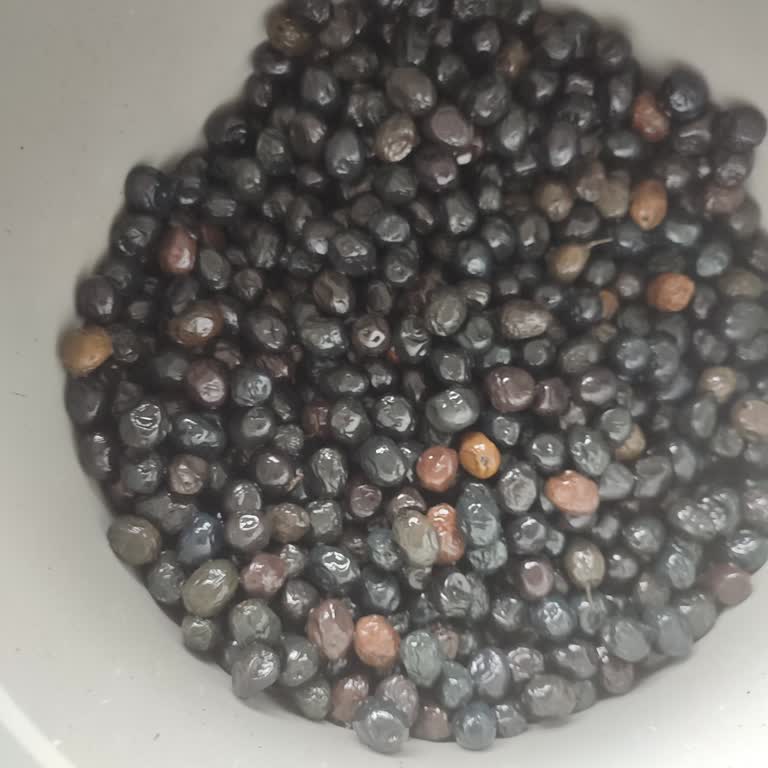 Kadolive Zeytin Gönderilen Ürün Reklam Ve Tanıtımlarda Gösterilen Kaliteyi Kesinlikle Yansıtmıyor