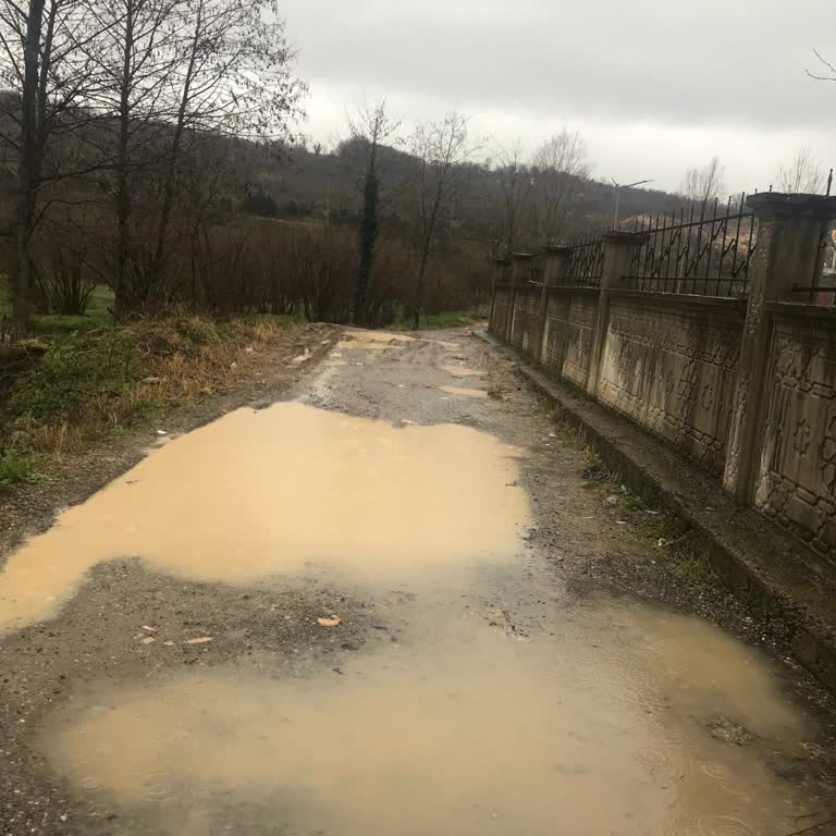 Gençlik Merkezi Arka Yürüyüş Yolu Çamurlu Ve Bakımsız