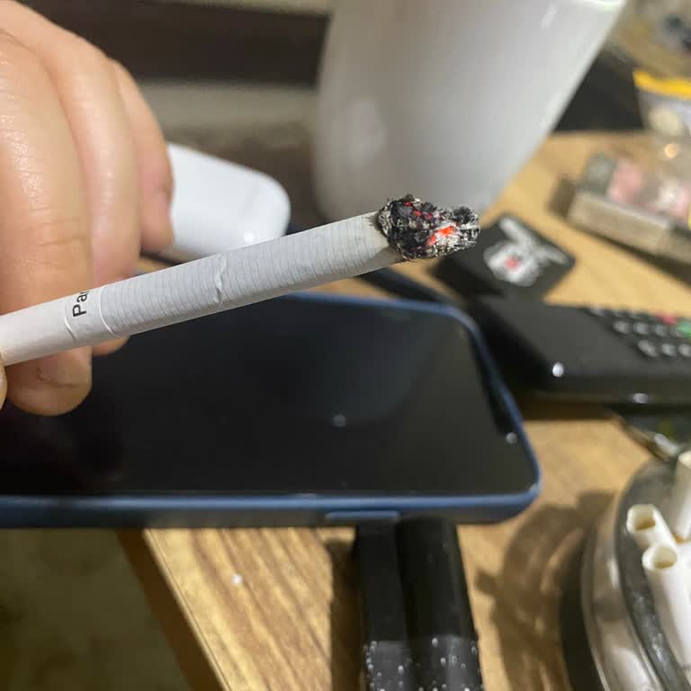 Parliament Midnight Blue Paketlerinde Dal Parçaları Çıktı Ve Kalite Sorunu Yaşandı