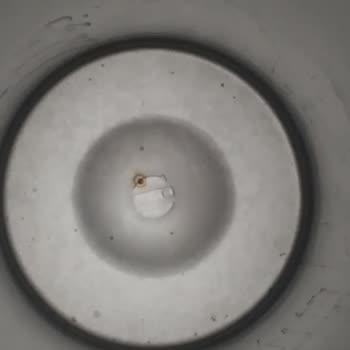 Stanley Termoslarda Kısa Sürede Paslanma Ve Çizik Değişim Talebi