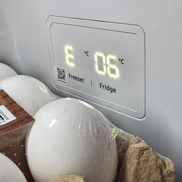 Samsung Buzdolabında Sürekli E06 Hatası Ve Ücret İadesi Talebi