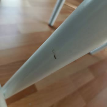 Ercüment Nakliyat'ın Taşıma Hizmetinde Oluşan Hasar Ve Cevapsızlık