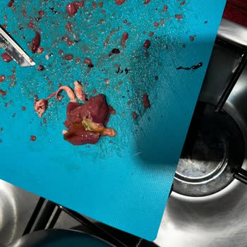 Bu Piliç Tavuk Ciğerinde İç Organlı Ve Patlamış Öd, Şirketin İlgisiz Yaklaşımı