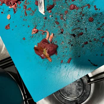 Bu Piliç Tavuk Ciğerinde İç Organlı Ve Patlamış Öd, Şirketin İlgisiz Yaklaşımı