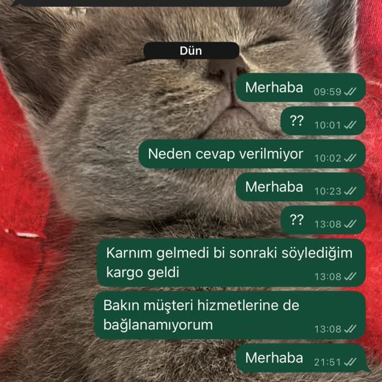 Siparişim Teslim Edilmedi, Tam İade Talebi