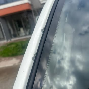 Orijinal Boyada Kendi Kendine Soyulma Sorunu İçin İyi Niyet Garantisi Talebi