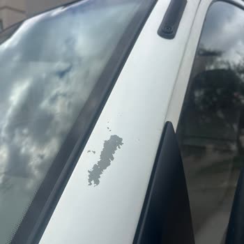 Orijinal Boyada Kendi Kendine Soyulma Sorunu İçin İyi Niyet Garantisi Talebi