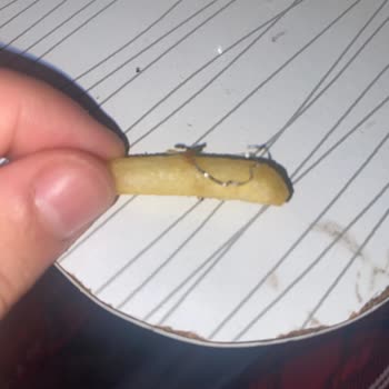 Yemekte Bulaşık Teli Bulunması Ve İade Talebinin Reddedilmesi