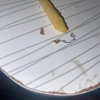 Yemekte Bulaşık Teli Bulunması Ve İade Talebinin Reddedilmesi