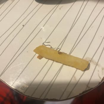 Yemekte Bulaşık Teli Bulunması Ve İade Talebinin Reddedilmesi