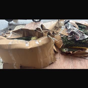 Çiçek kargolarının hasar görmesi ve tazmin talebi