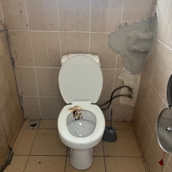 Hijyen Eksikliği Ve Saygısız Personel Tutumu Yedikule Göğüs Hastalıkları Yatan Hasta Servisinde