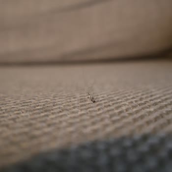 Verona Koltuk Takımının Kumaşındaki Potluk Ve Topaklanma İçin Değişim İsteği