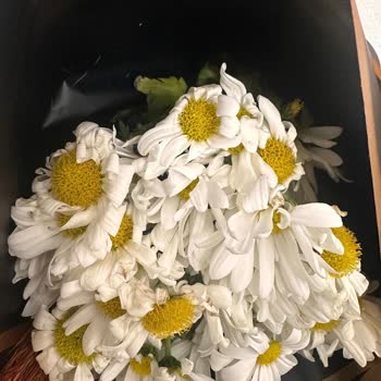 Solmuş Ve Böcekli Çiçek Buketi İçin İade Talebi