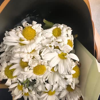 Solmuş Ve Böcekli Çiçek Buketi İçin İade Talebi