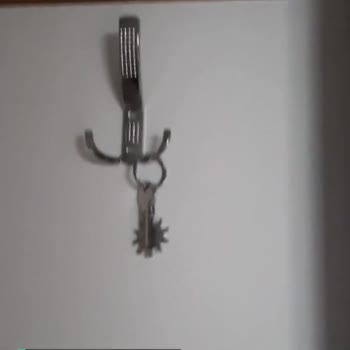 Evkur Alışveriş Pişmanlığı, İlgisizliği
