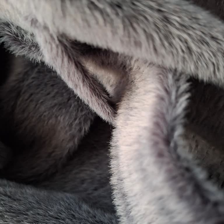 Dikiş Hatalı Kaban, Kaba Personelin Tutumu Ve Polis Çağrısı: Değişim Ya Da İade Talebi