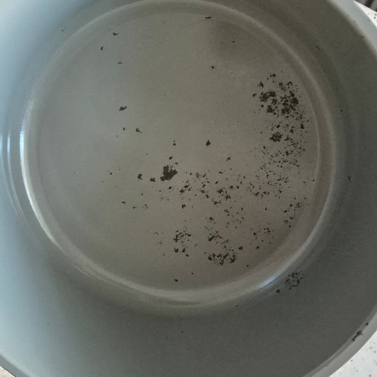 Neoflam Tencere Setinde Boya Çözülmesi Ve Kapak Tutma Yerlerinin Sürekli Düşmesi