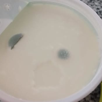 Pınar Doğal Yoğurt Paslanmış!