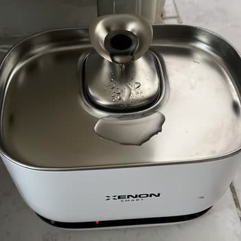 Akıllı Su Kabının Su Vermemesi Ve Mama Kabının Çevrim Dışı Olması Sürekli Mağduriyet Yaratıyor