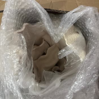 Kargo Kırık Teslim Edildi, Sorumluluk Kabul Edilmedi