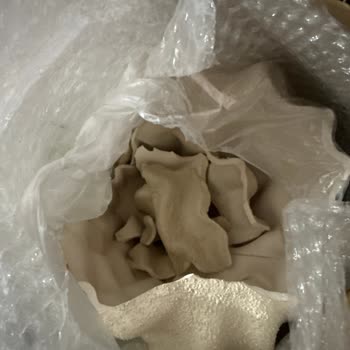 Kargo Kırık Teslim Edildi, Sorumluluk Kabul Edilmedi